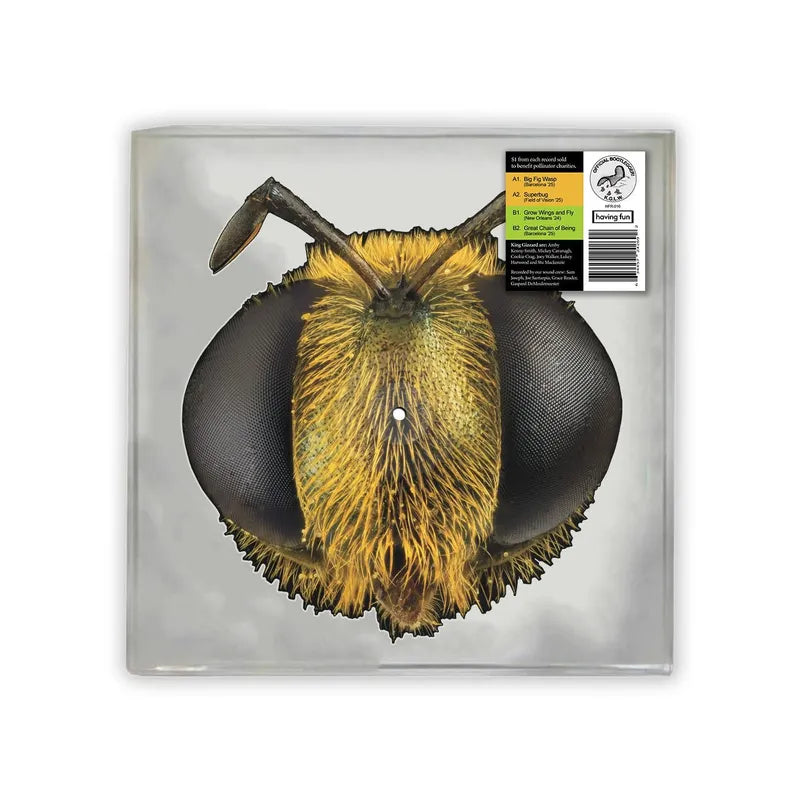 King Gizzard & the Lizard Wizard - Big Fig Wasp (10")