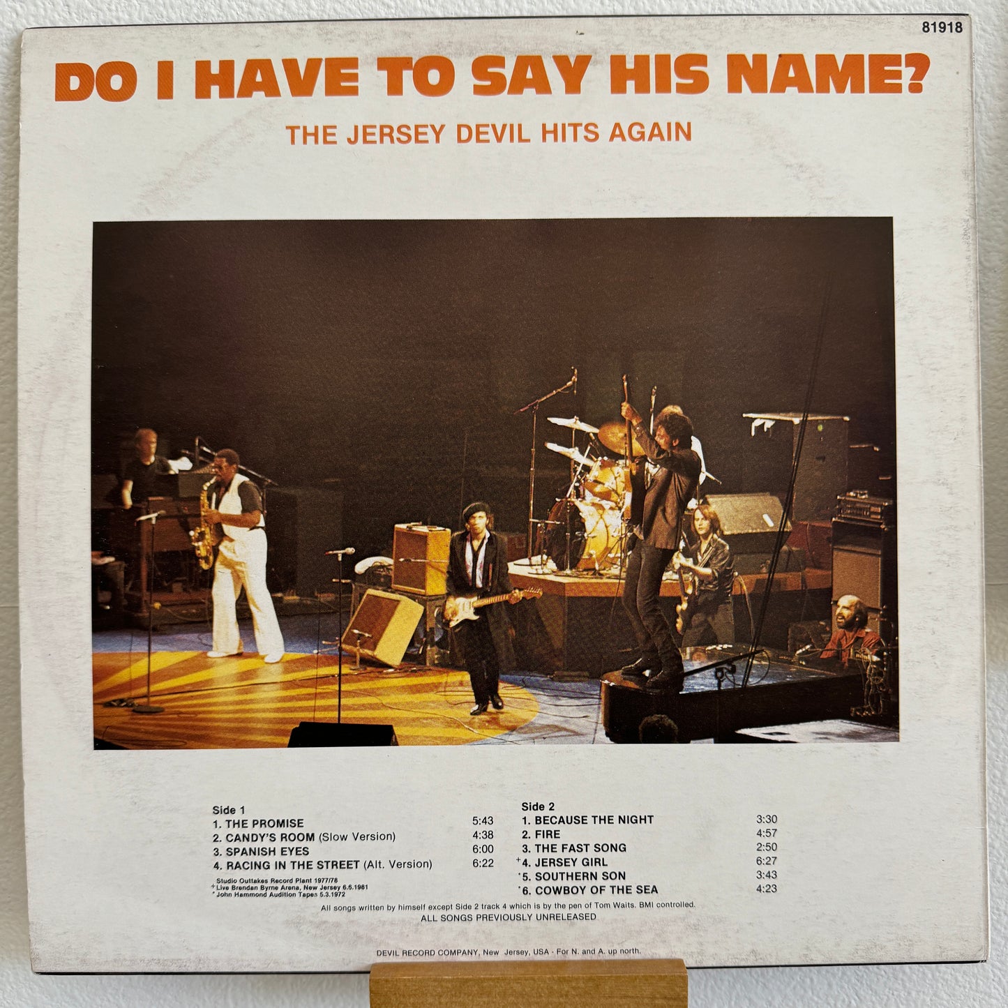 Bruce Springsteen - Do I Have to Say His Name? (LP)