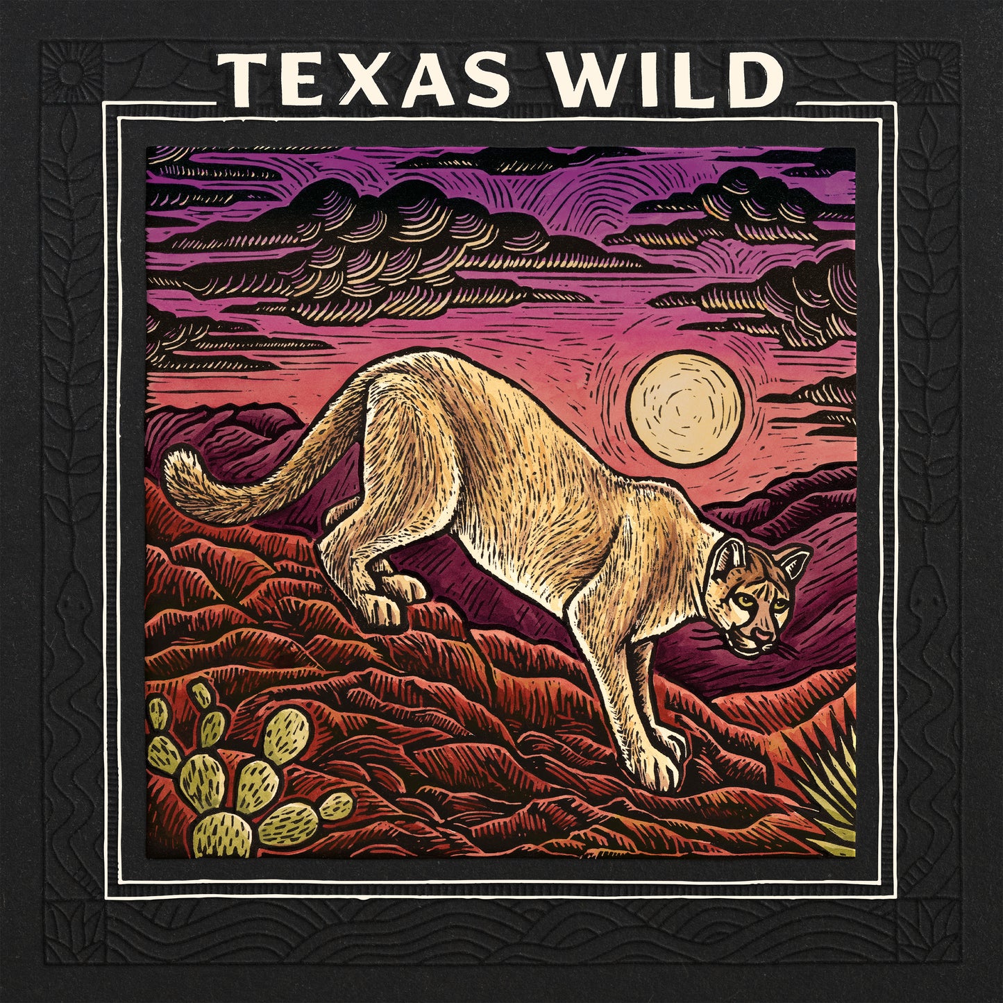 V/A - Texas Wild (LP)