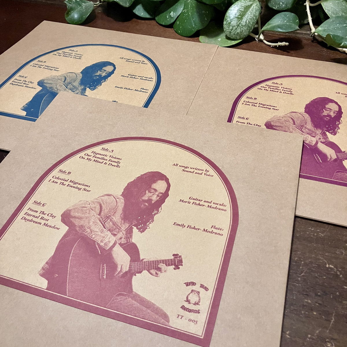Sound and Voice - All My Dreams Are Absent From Me (2xLP)