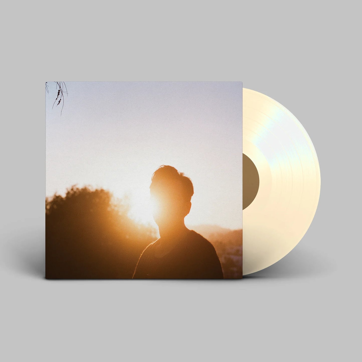 Hrishikesh Hirway - In the Last Hour of Light (LP)